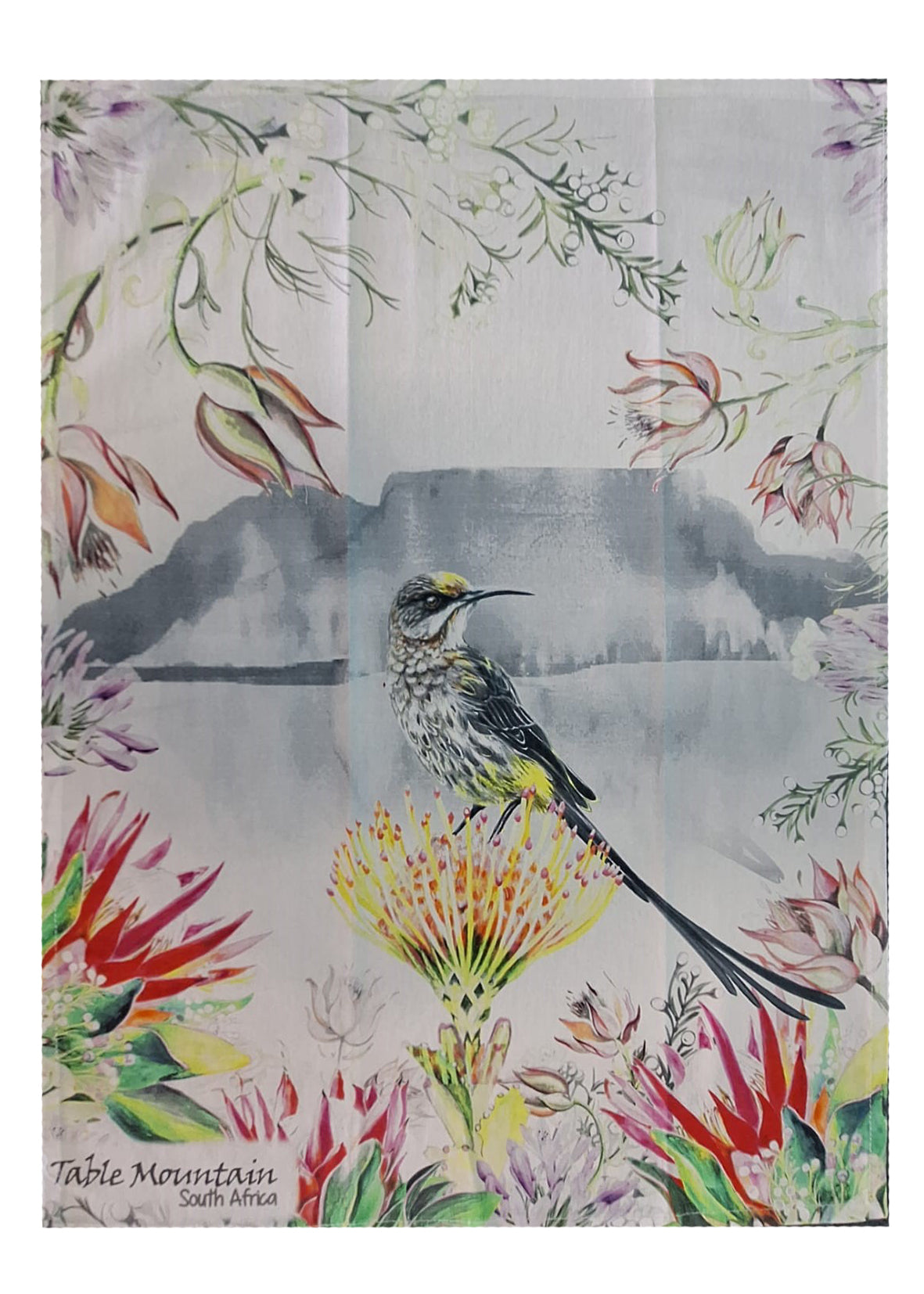 Table Mountain Tea Towel - Sunbird